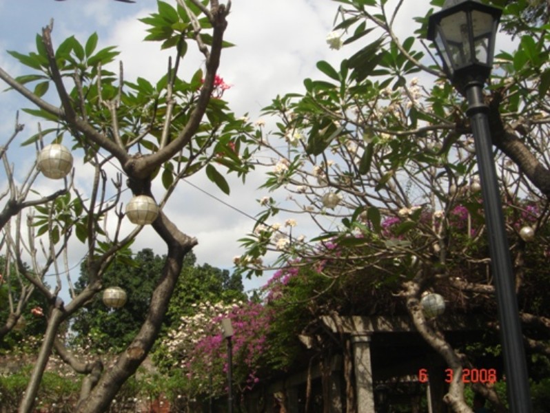 DSC02059.JPG