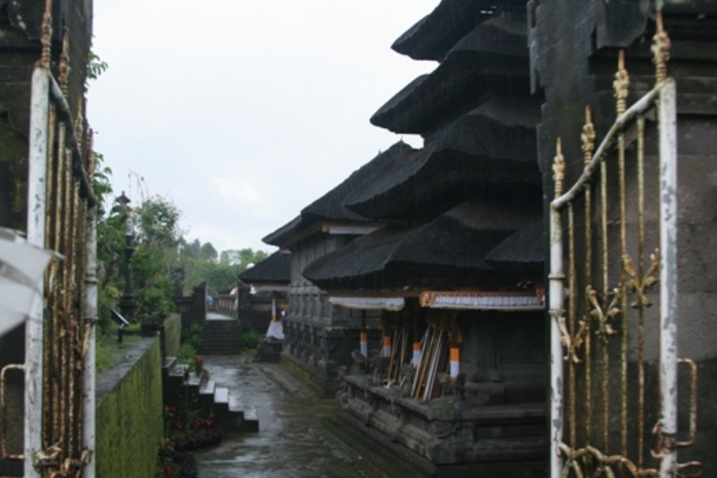 IMG_7794.JPG