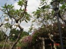 DSC02059.JPG