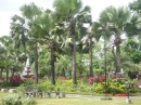 DSC02063.JPG